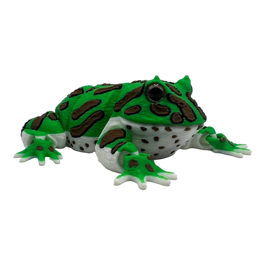 Schmuckhornfrosch – Der gefräßige Hüpfer für dein Regal!