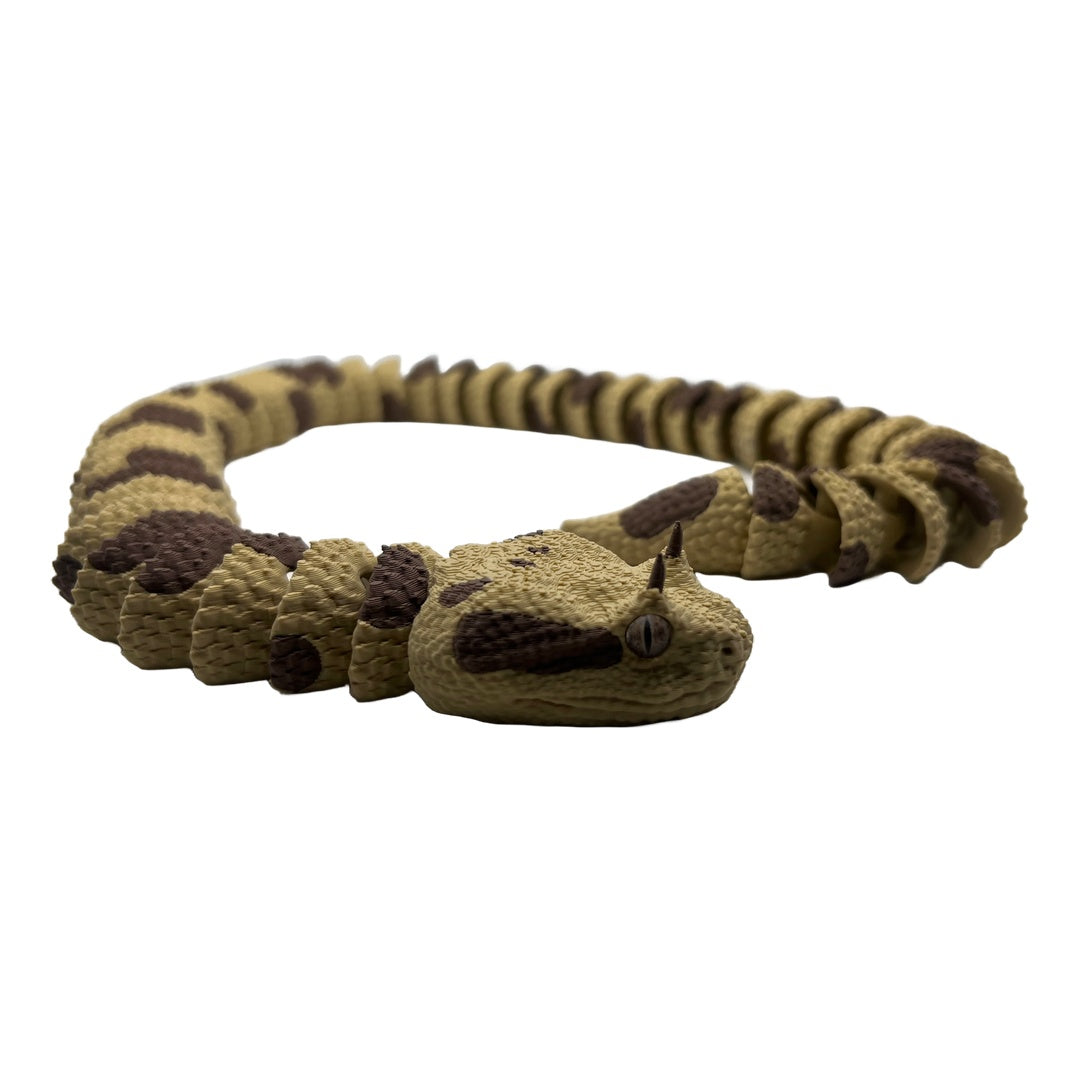 Horned viper – The desert beauty with the hypnotic eyes! 🐍