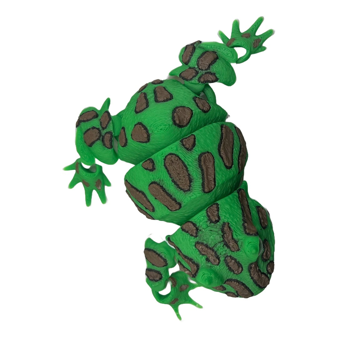 Schmuckhornfrosch  – Der gefräßige Hüpfer für dein Regal!