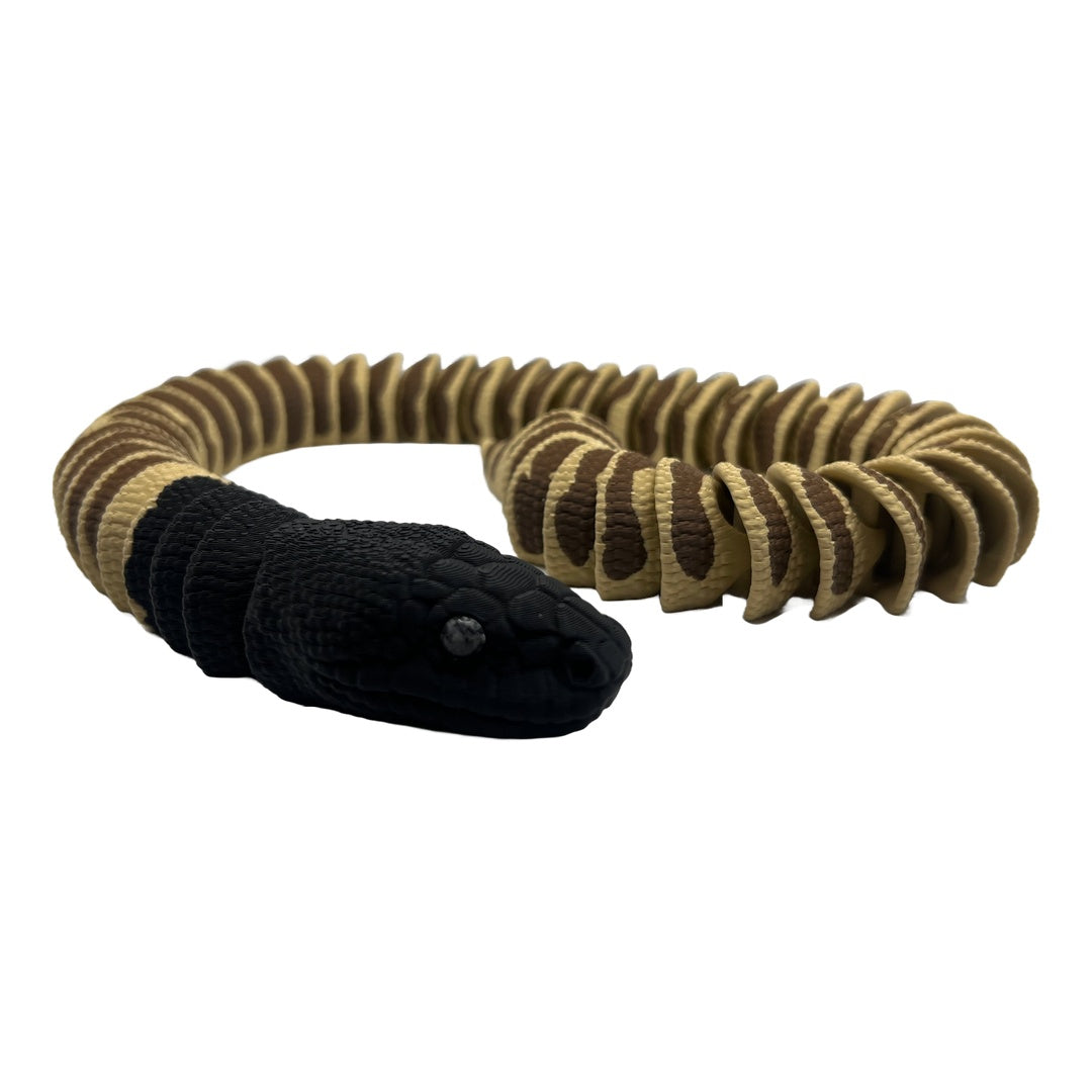 Black Head Python – A piece of Australian wilderness for you!