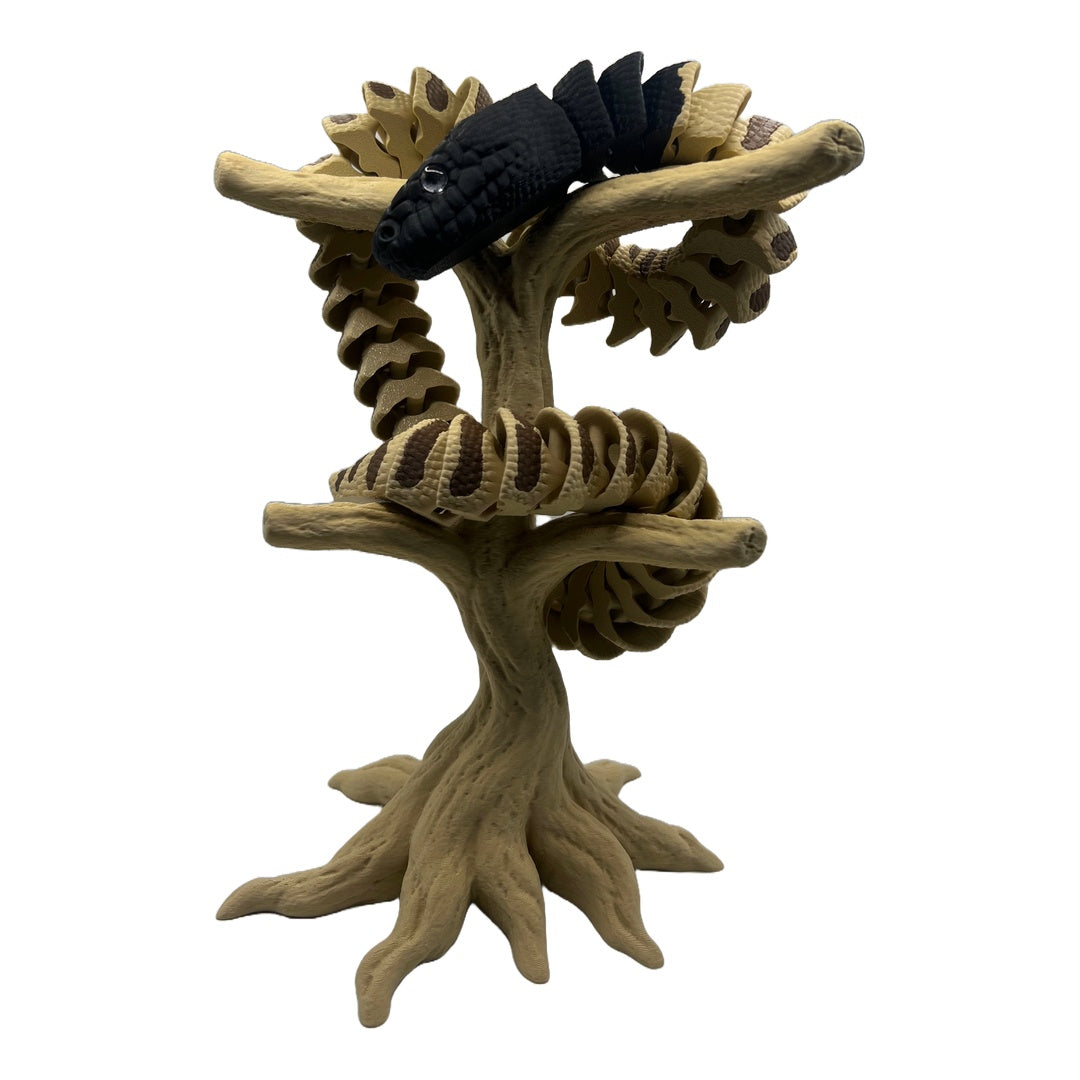 Black Head Python – A piece of Australian wilderness for you!