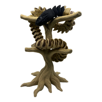 Black Head Python – A piece of Australian wilderness for you!