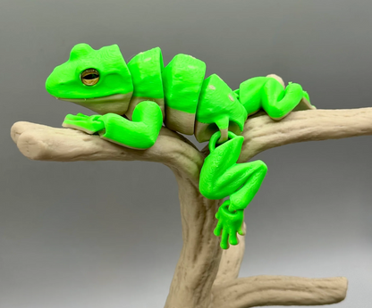 Laubfrosch – Der grüne Kletterkünstler für dein Zuhause!