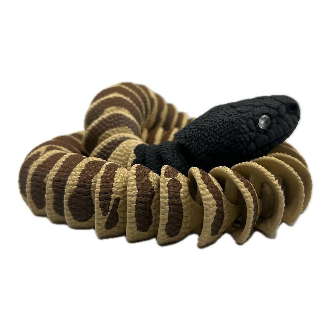 Black Head Python – A piece of Australian wilderness for you!